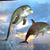 Dave Estrella's profile image
