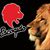 Francisco Cuello's profile image