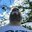 Marcus Jason's profile image