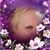 Shirley Seibert's profile image