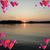 Leslie Plumb's profile image