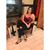 Mara Velez's profile image