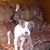 Robin Ann Workman's profile image