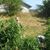 Tony Vondran's profile image