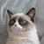 Kyle Hess's profile image