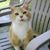 Ruth Luce Wilson's profile image