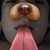 Michael Antoniello's profile image