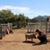 Brittany Roberts Whissel's profile image