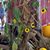 Debbie Humphrey's profile image