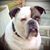 Karyn Marks Winders's profile image