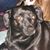 Linda Richardson's profile image