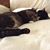 Debbie Webb's profile image