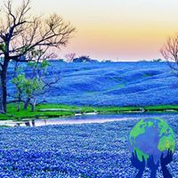 Marie Mae's profile image