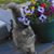 Christa Pike Kofford's profile image