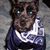Linda Banks's profile image