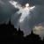 Scquam Davies's profile image