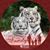 Rose M. Punzalan's profile image