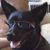 Tim Berardi's profile image