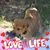 Marsha Barkhousen's profile image