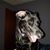 Denae Waldbusser's profile image