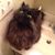 Jon Martin's profile image