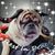 Darla Stoddard's profile image