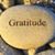 Teresa Vander Woude's profile image