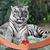 Paula Parker's profile image