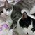 Yvonne McCollister's profile image