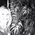 Jeani Crist's profile image