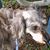 Margaret Thompson's profile image