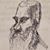 Gustav Paepperknackle's profile image