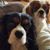 Elaine Willis's profile image