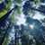 Faith Seemann's profile image