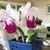 Jeanine Wylly's profile image