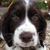 Michele Bennett's profile image