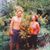 Kristie Tedford's profile image