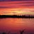 Maryellyn Duncan's profile image