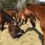 Claire Jackie McCaffery's profile image