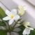 Karen Jerry Lauwers's profile image