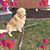 Bernadette Pennella Levitas's profile image