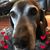 Darlene Lecker Sharp's profile image