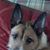 Mark Eskholme's profile image