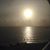 Debbie Bommarito's profile image