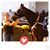 Kirsi Bertolini's profile image