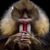 Edward Hyde's profile image