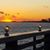Deborah Loomis's profile image