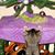 Melissa Niegsch Metcalf's profile image