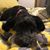 Lindsay Bowe's profile image