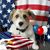 Sharon Wilson's profile image